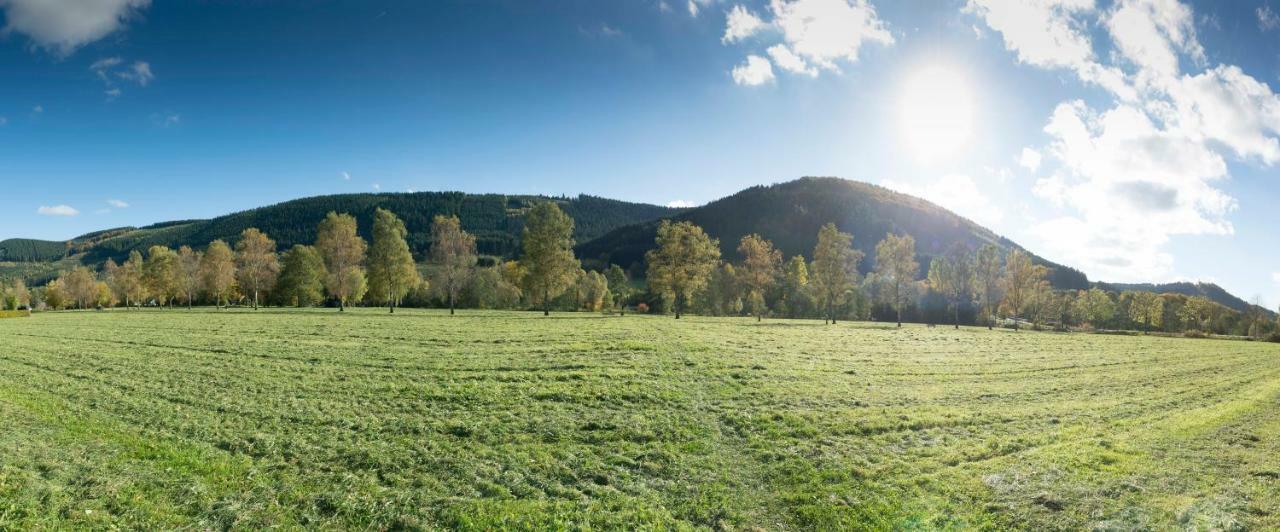 Ferienwohnung Saalhausen Sauerland Lennestadt Buitenkant foto