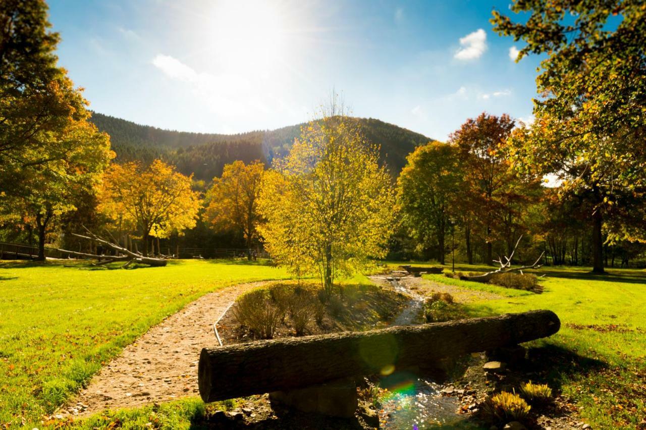 Ferienwohnung Saalhausen Sauerland Lennestadt Buitenkant foto